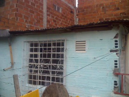 hoy